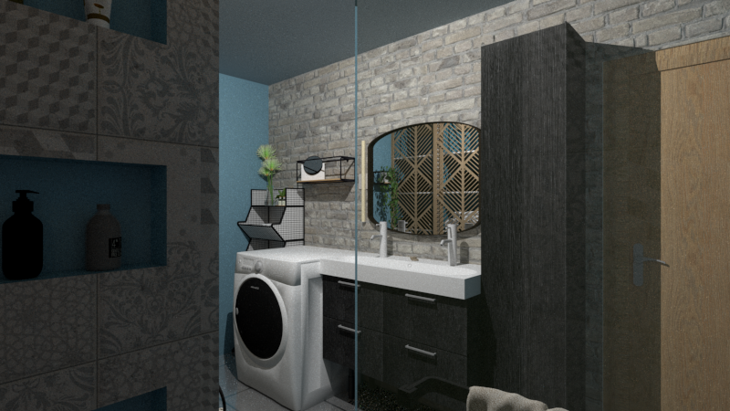 rénovation d'une douche près de Janville
